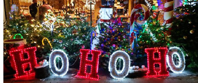 Christmas Lights Tour