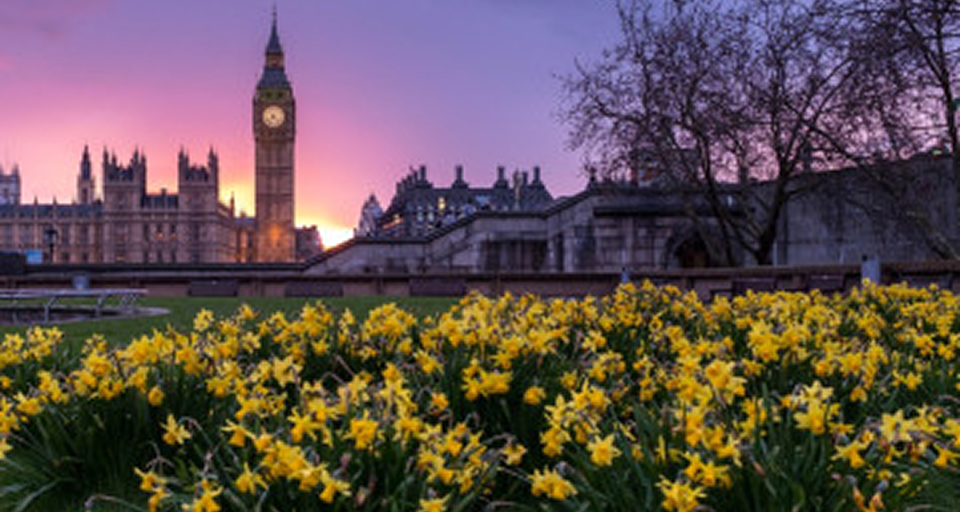 Get On Your Bike To Sketch Natural London!